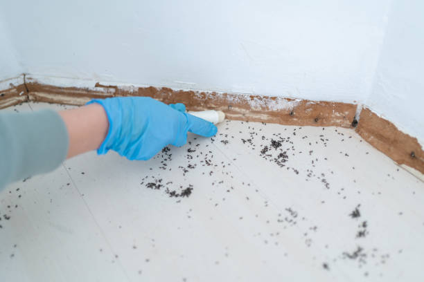 Best Exterminator Services  in Athens, WV